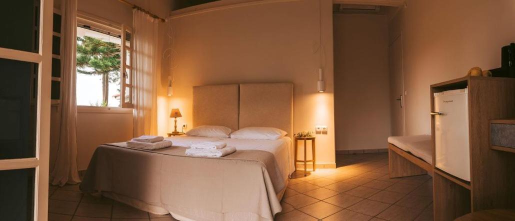 Villa Kastri Apartments Vasiliki  Luaran gambar