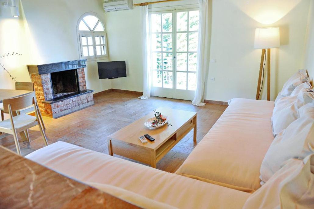 Villa Kastri Apartments Vasiliki  Luaran gambar